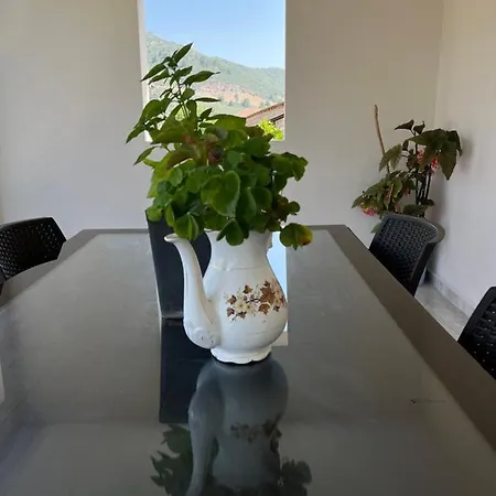 Apartment Portakal Cicegi